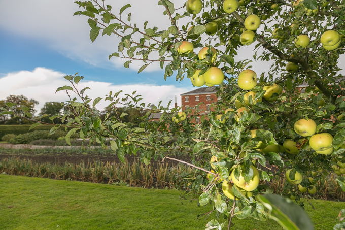 Southwell Workhouse (041)